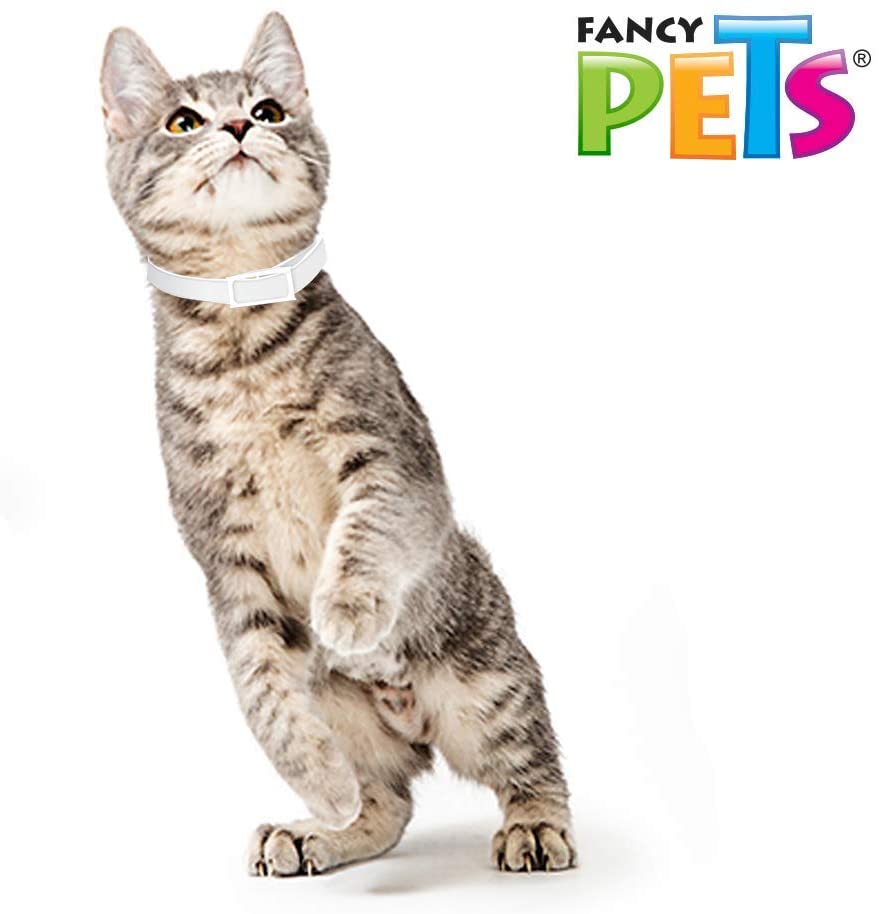 Collar antipulgas para gato