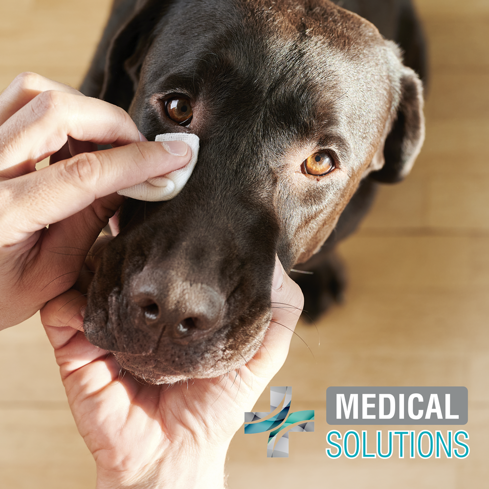 Toallitas limpiadoras para ojos Perros