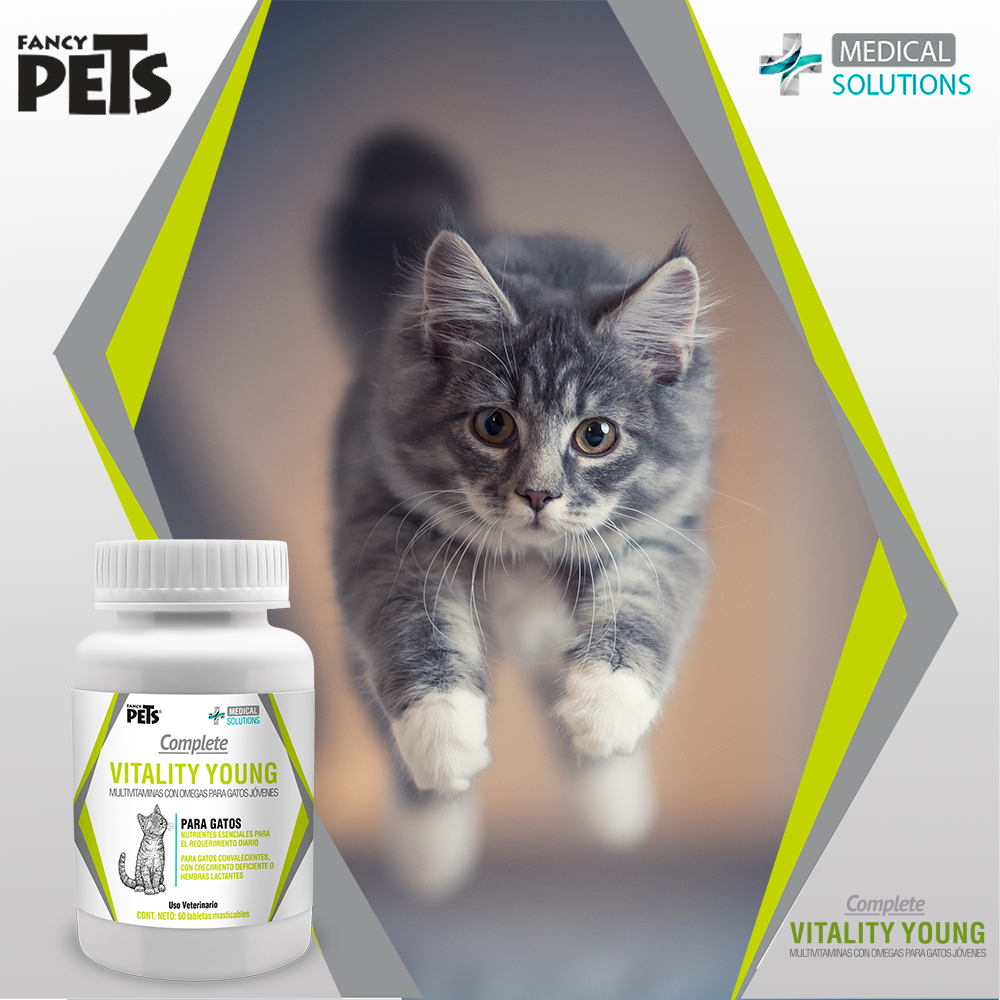 Complete Vitality Young para Gatos C/60 Tab