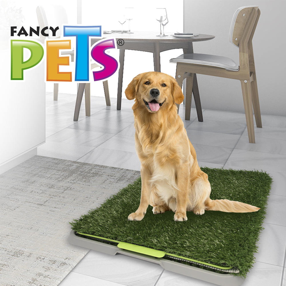 Tapete entrenador de pasto sintético - Doggie Grass