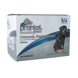Prantel plus 40 Kg con 20 TAB - Perro grande
