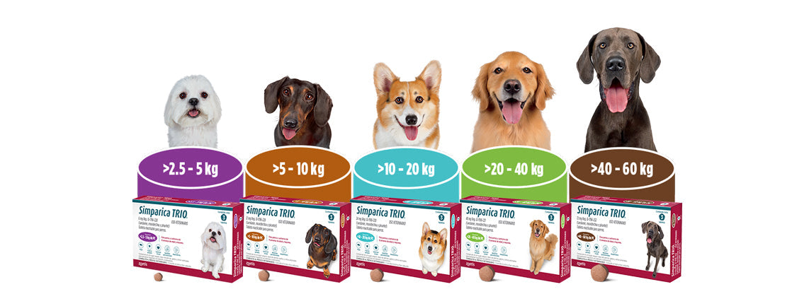 Simparica Trio - 3 tabletas (5 a 10 KG)