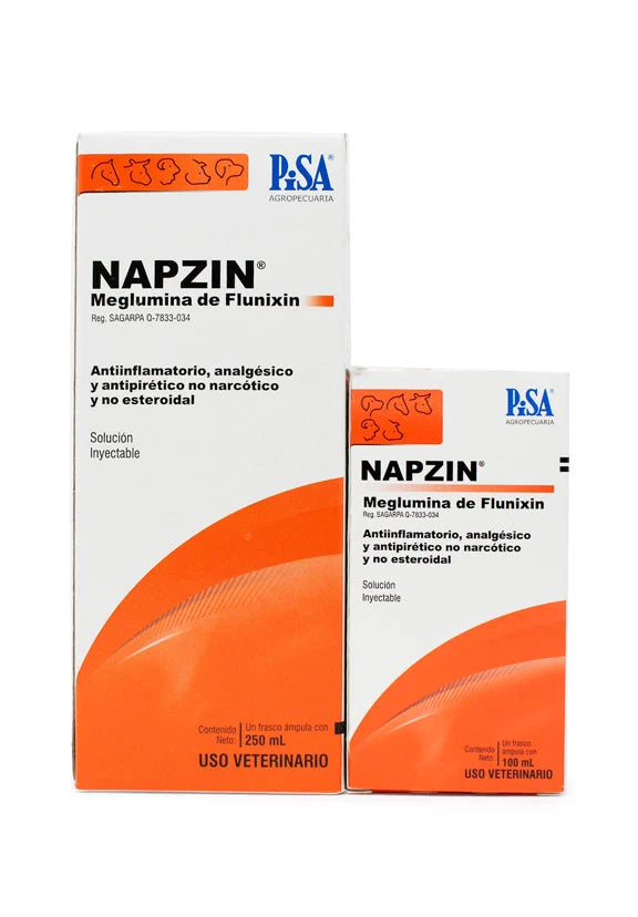 Napzin 100 ml Solución Inyectable