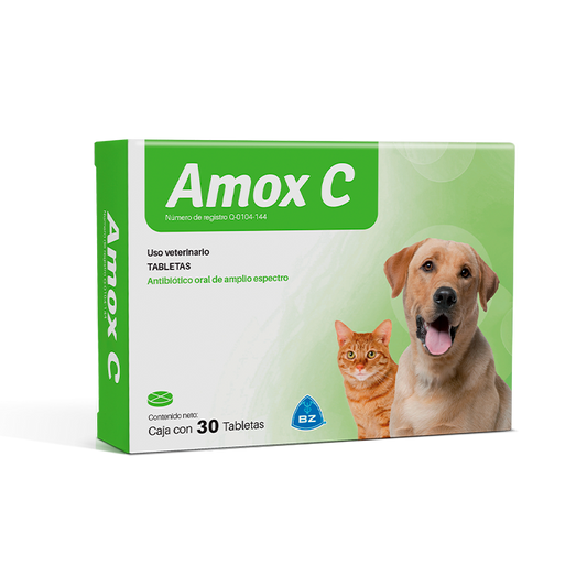 Amox C con 30 tabletas