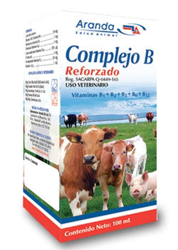 Complejo B Reforzado 100 ml