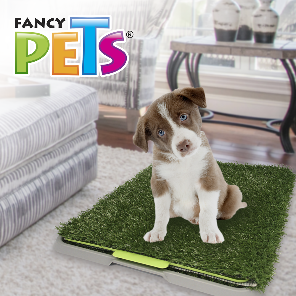 Tapete entrenador de pasto sintético - Doggie Grass