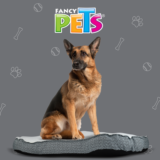 Cama tipo hueso Grande