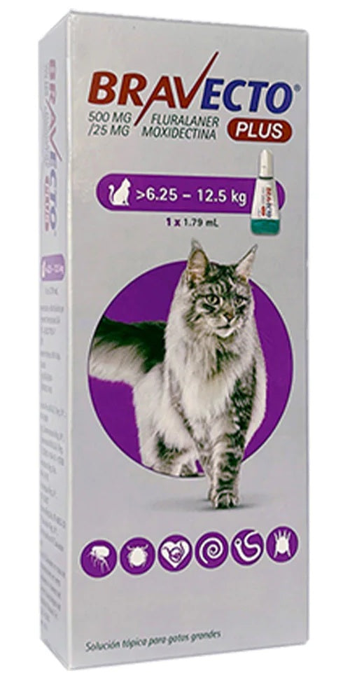 BRAVECTO PLUS GATO (6.25 a 12.5 Kg) - 1 Pipeta