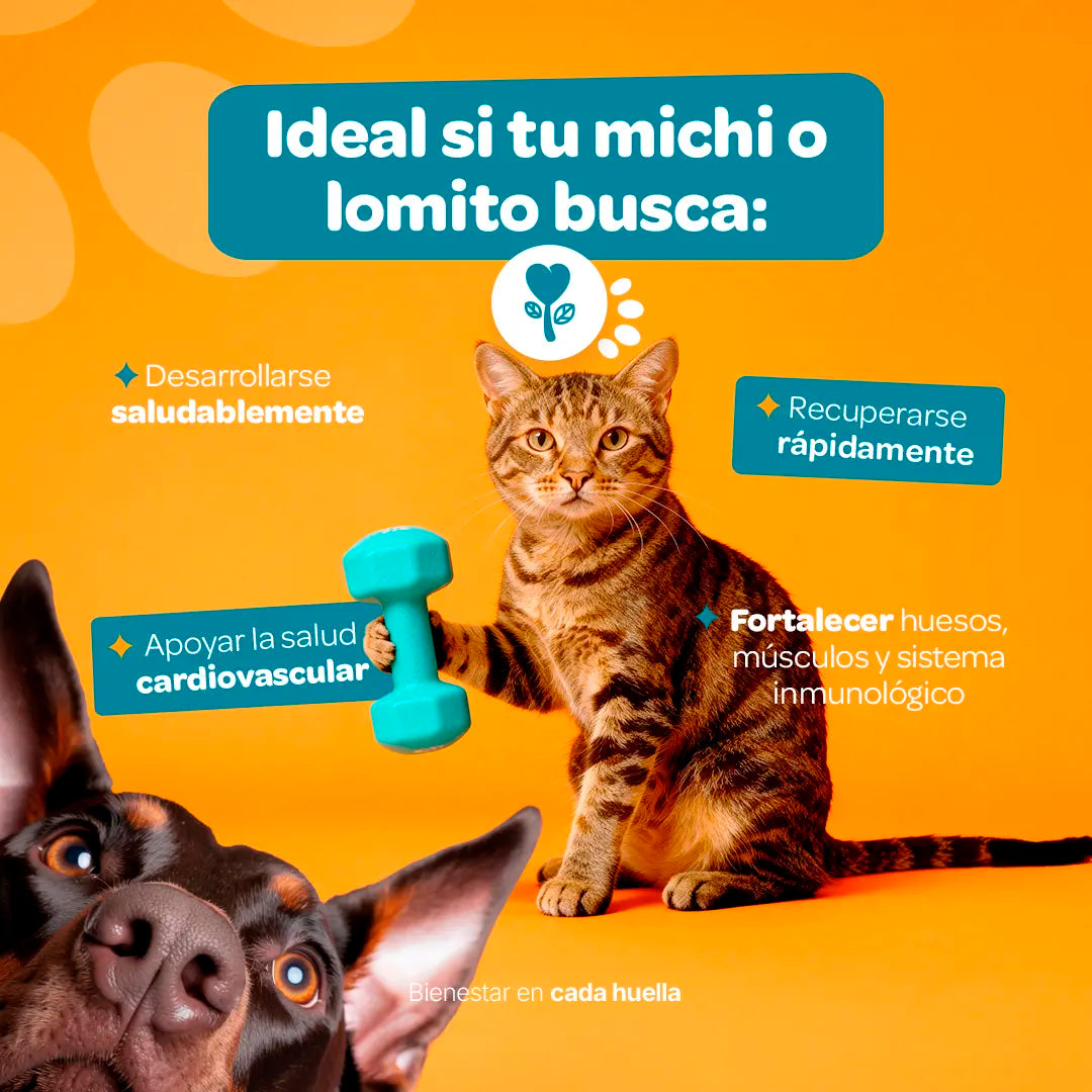 Growth Strong para Desarrollo 350 g (Perros y Gatos)