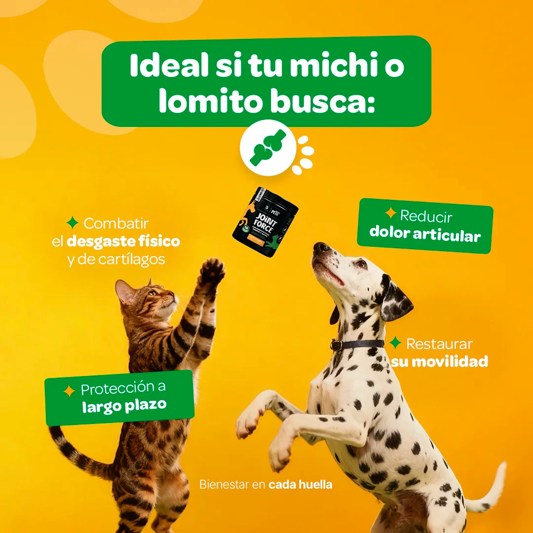 Joint Force Suplemento Articular en Polvo 350 g (Perros y Gatos)