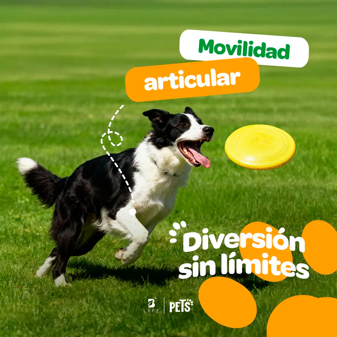 Joint Force Suplemento Articular en Polvo 350 g (Perros y Gatos)