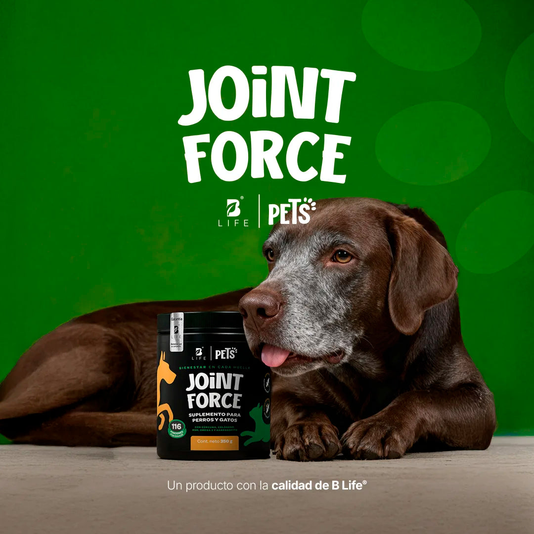 Joint Force Suplemento Articular en Polvo 350 g (Perros y Gatos)