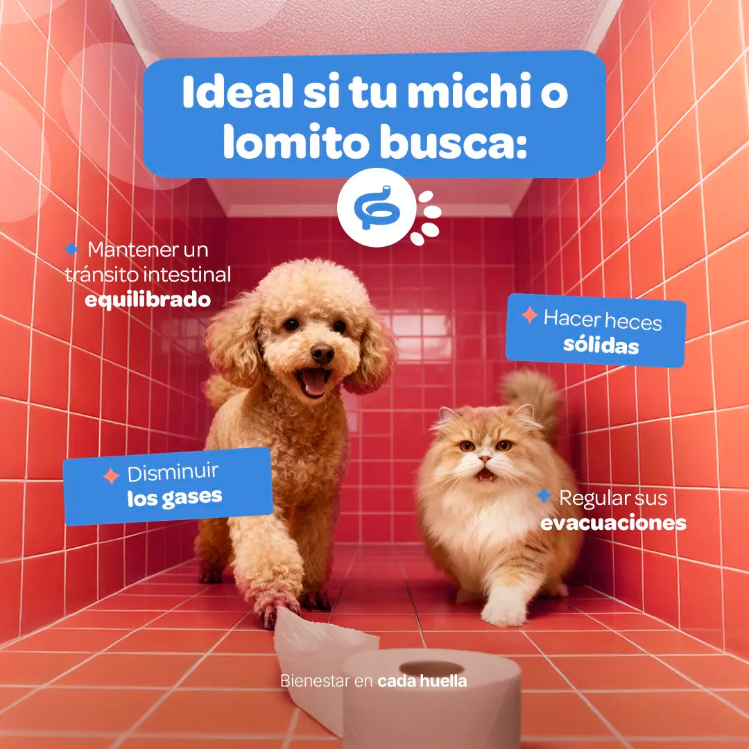 Digestive Prebiotics Suplemento de Prebióticos 350 g (Perros y Gatos)