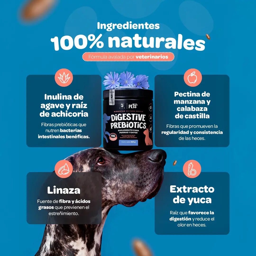 Digestive Prebiotics Suplemento de Prebióticos 350 g (Perros y Gatos)