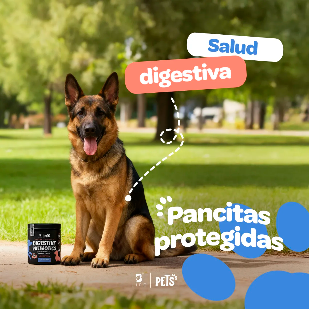 Digestive Prebiotics Suplemento de Prebióticos 350 g (Perros y Gatos)