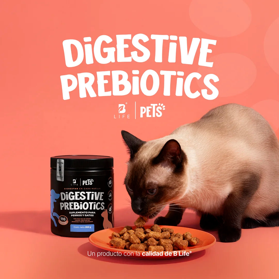 Digestive Prebiotics Suplemento de Prebióticos 350 g (Perros y Gatos)
