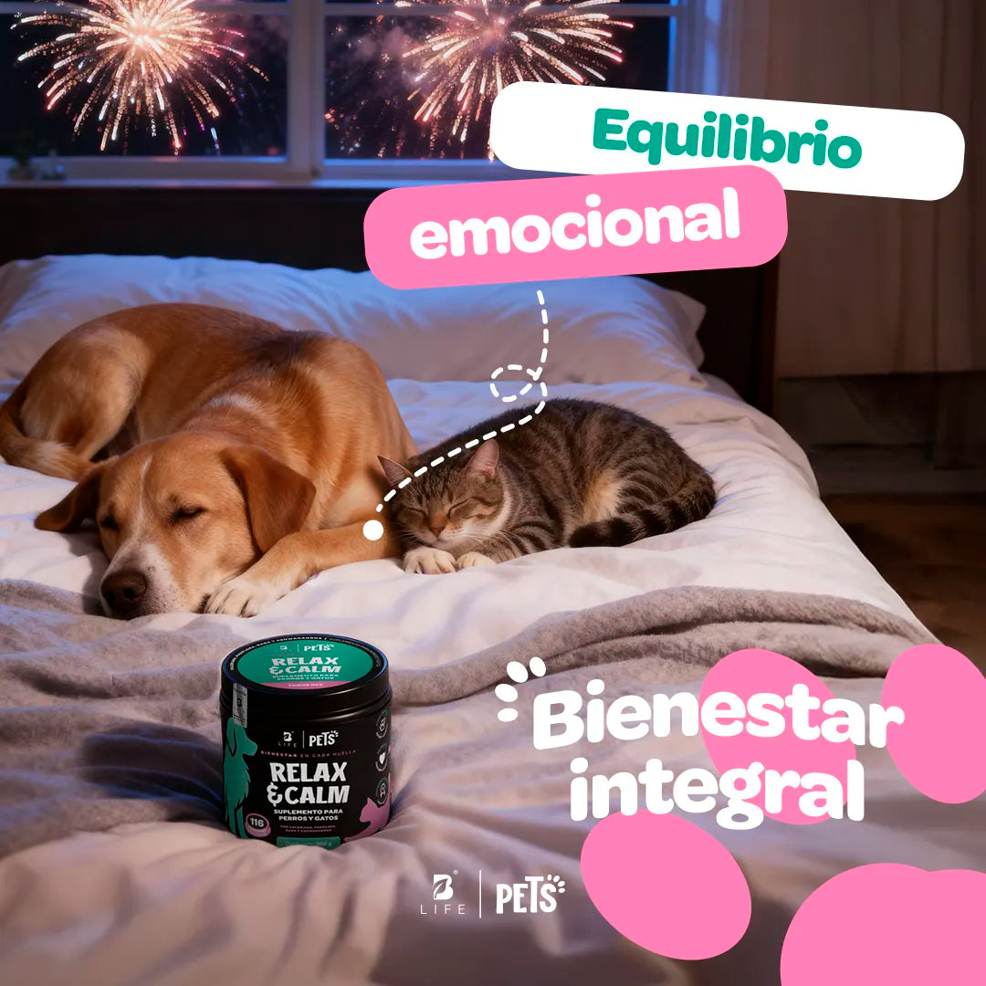 Relax & Calm Suplemento relajante 350 g (Perros y Gatos)