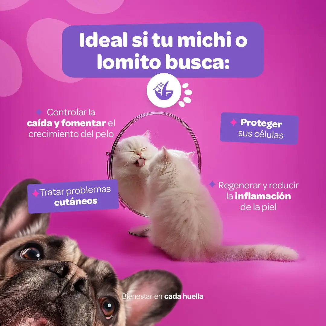 Skin Support Suplemento para piel y pelaje 350 g (Perros y Gatos)