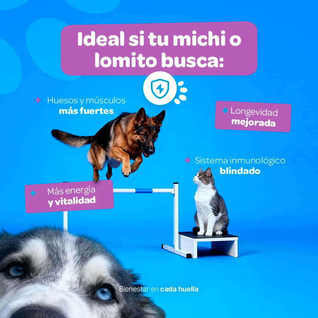 Vitamin Support Multivitamínico 350 g (Perros y Gatos)