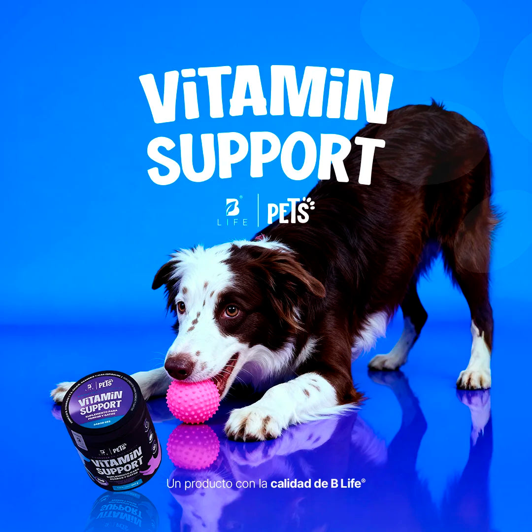 Vitamin Support Multivitamínico 350 g (Perros y Gatos)